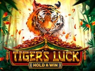 Tiger's Luck - Hold & Win icon