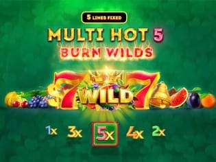 Multi Hot 5 Burn Wilds icon