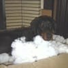 Fatma Arslan avatar